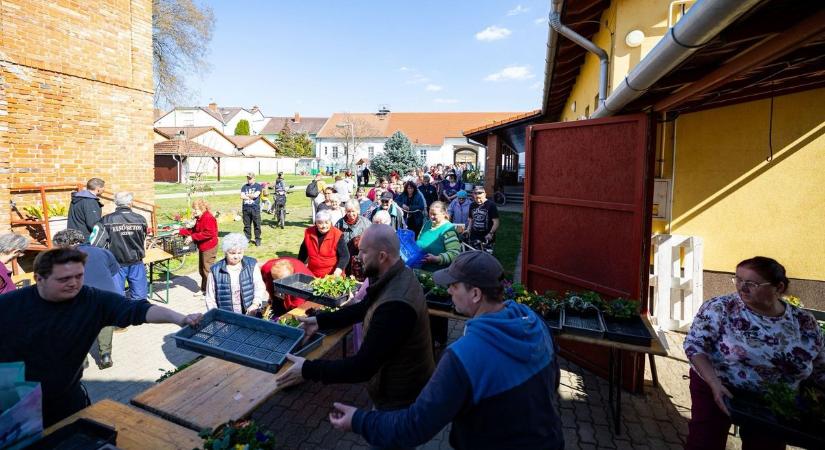 Húsvéti hangulat és virágeső: több ezer növény talált gazdára Kiskundorozsmán