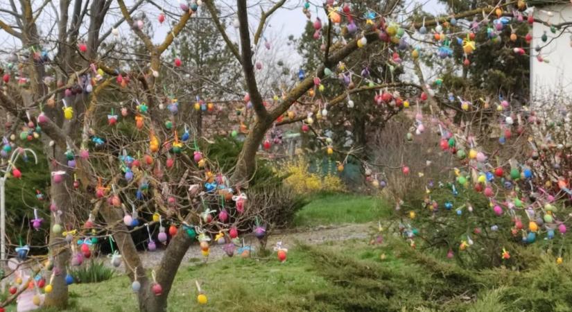 Az összetartozást erősítik a falu központjában feldíszített tojásfák