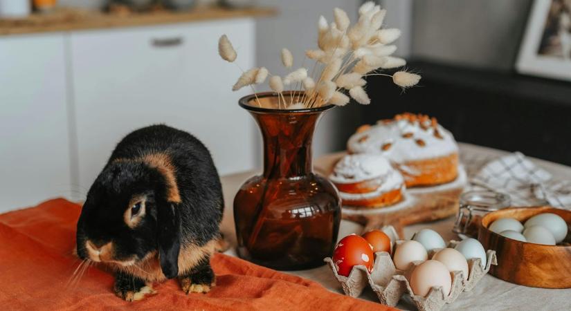 Húsvéti nyúl és tojás? Meglepő, honnan származnak