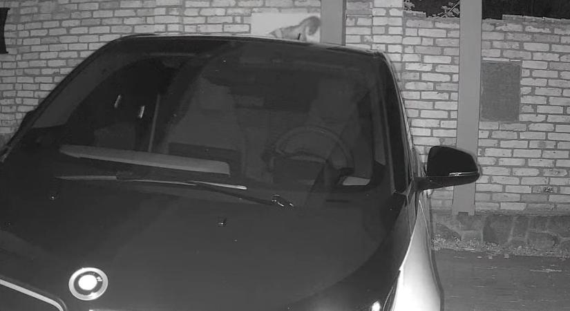 Durva éjszakai támadások az autósok ellen – Veszprém megye kiemelten veszélyeztetett (videó)