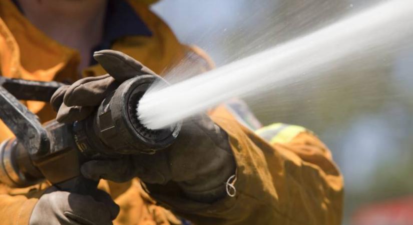 2 oroszlánnál álltak készenlétben a magyar tűzoltók: bármelyik pillanatban eldurvulhatott volna a helyzet Debrecenben