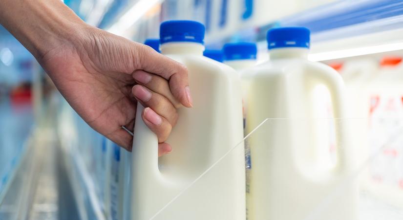 A 3. legnagyobb tejhatalom jön létre a szomszédban: 3500 gazda sorsa dőlt el