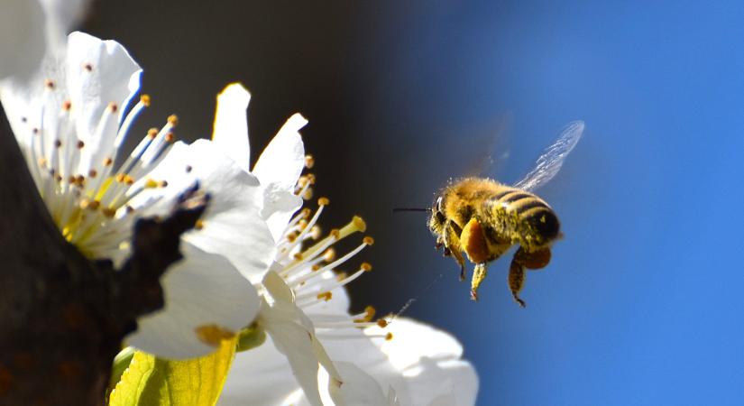 Húsvét után hidegebb levegő árasztja el hazánkat
