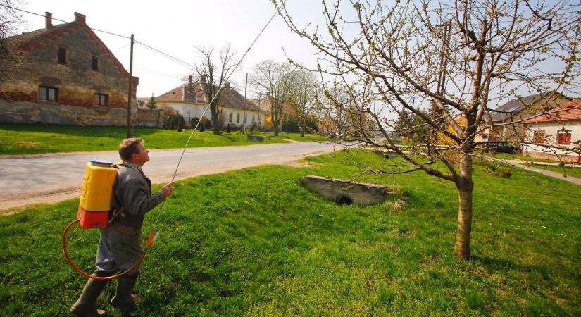 Felejtsd el a permetezést, dobd ki a rovarirtót! Új, hatékony, hosszú távú megoldás terjed a kártevők ellen