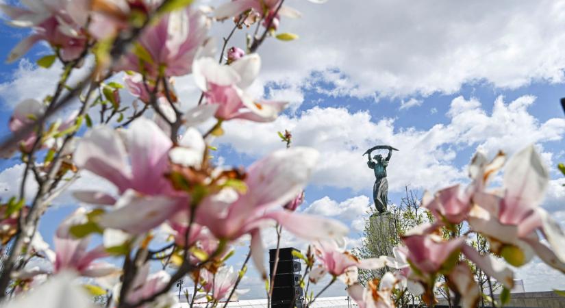 Végre megnyitotta kapuit a legendás hazai erődítmény: óriási tömeg rohamozta meg a bámulatos új parkot