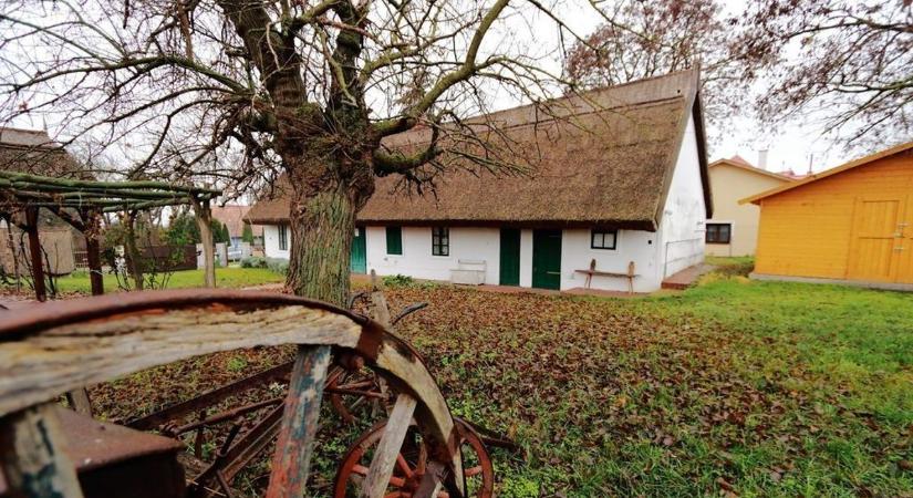 Pulutyka, lajbi és pucok – így beszél Fejér vármegye