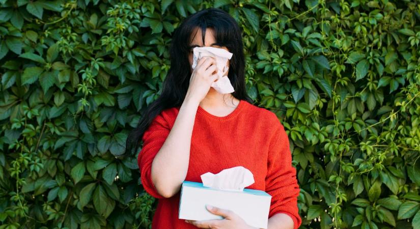 Brutálisabb lesz a 2026-os allergiaszezon? Ezt jelzik előre a magyar szakemberek!