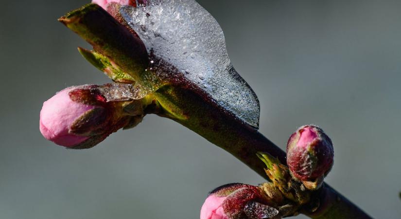 Húsvéthétfőn fordul az idő: jön a hidegfront