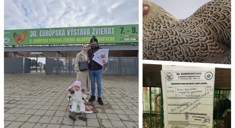 A narancsfogoly színű Európa-bajnok