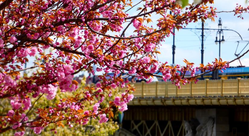 Az év eddigi legmelegebb napját hozta el a húsvétvasárnap