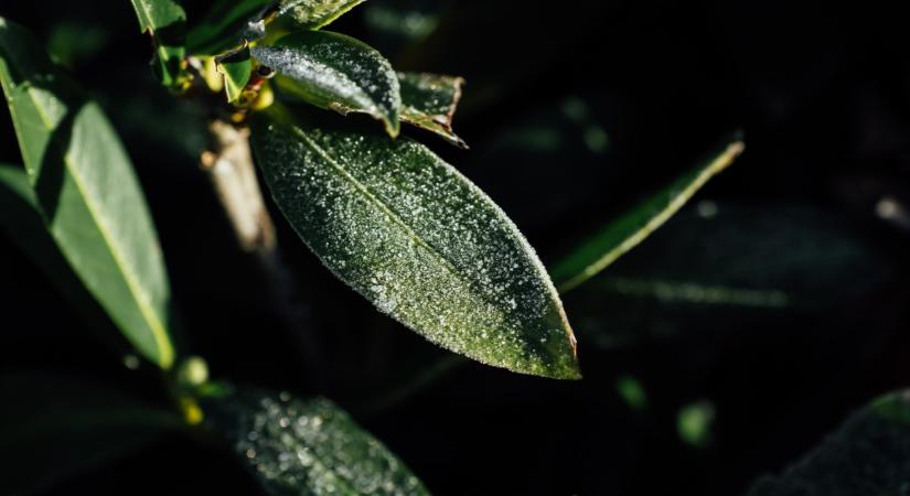 Óriási csavar az időjárásban: érkeznek a mínuszok, vége a melegnek