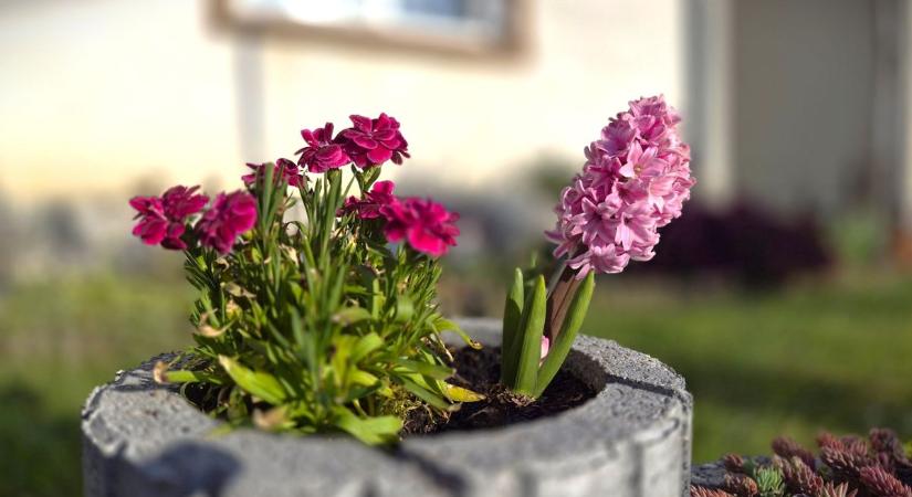 Az eső locsol vagy a legények? Milyen idő lesz húsvéthétfőn?