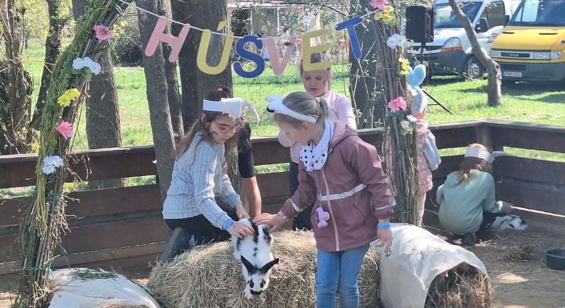 Állati jó élmények - húsvét a Hatvani Vadasparkban