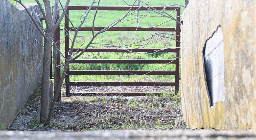 Elhagyott komplexum áll Szolnok határában, múltjáról a rozsdás kerítés is árulkodik – galériával