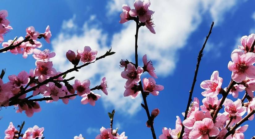 Úgy tűnik, a locsolók sem ússzák meg szárazon, ilyen fordulatot tartogat a húsvéthétfő