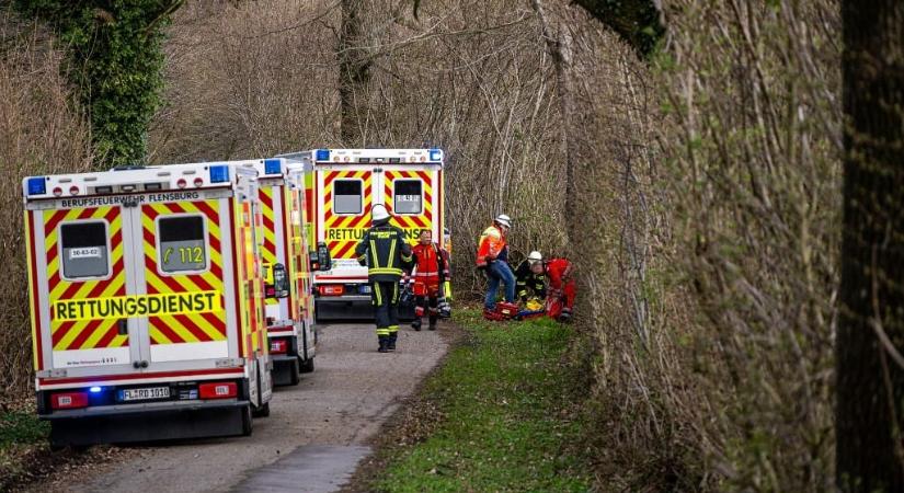 Tojáskeresők közé dőlt egy fa Németországban, többen meghaltak