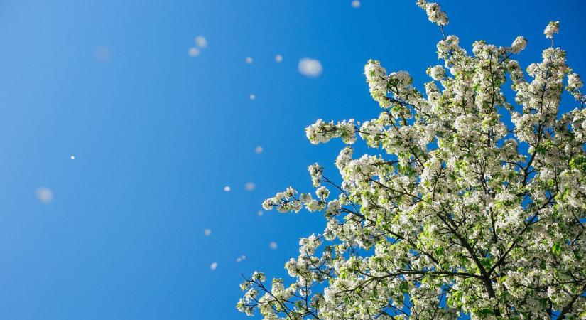 Megerősödő szél jelzi a gyenge hidegfrontot