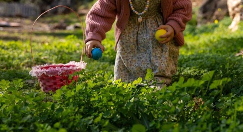 Húsvéti tojásokat keresőkre dőlt egy fa Németországban, egy csecsemő is meghalt
