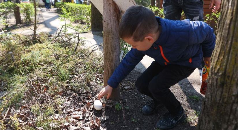 Tömegek rohanták meg a Szegedi Vadasparkot – mindenki a rejtett tojásokat kereste