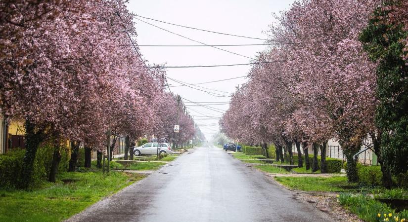 Húsvét hétfőn is tartogat meglepetést az időjárás Borsodban