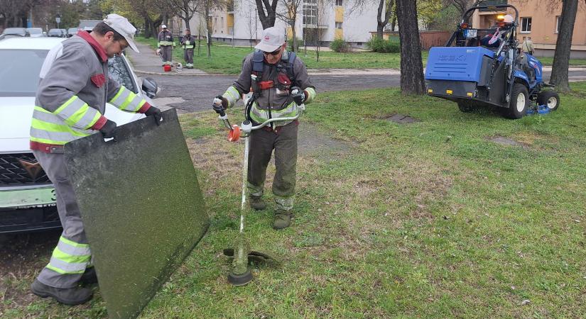 Elkezdődött a fűnyírás a város közterületein