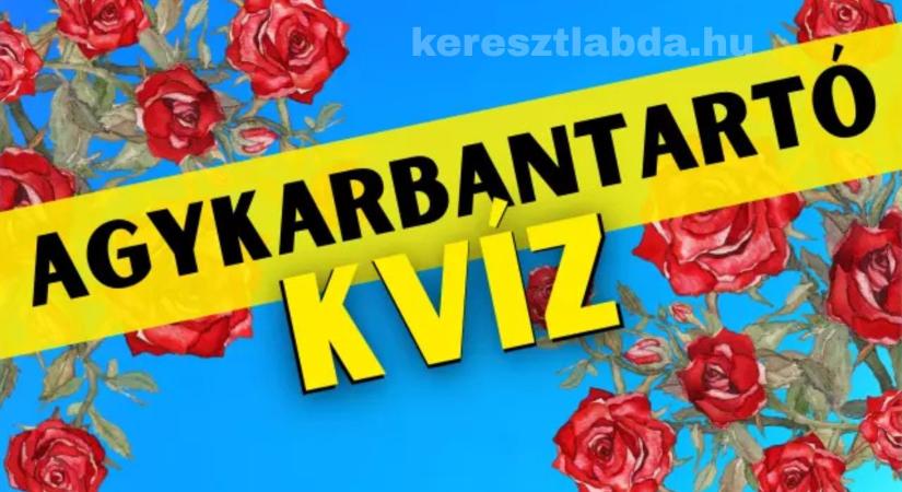 Napi agykarbantartó feladat: Melyik virág nem rózsa? Csak a sasszeműek veszik észre!