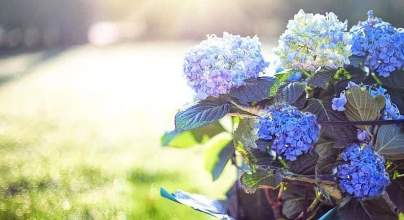 Az egyik legenyhébb március volt az idei