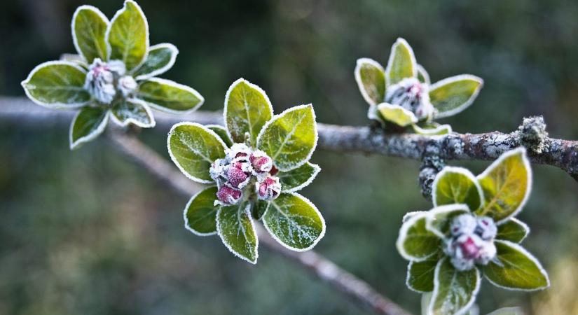 Figyelem! Húsvéthétfőn hidegfront érkezik és lehűlés kezdődik