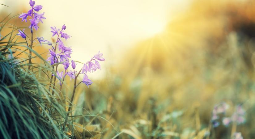 Heti időjárás előrejelzés 2026.04.06. – 2026.04.11.