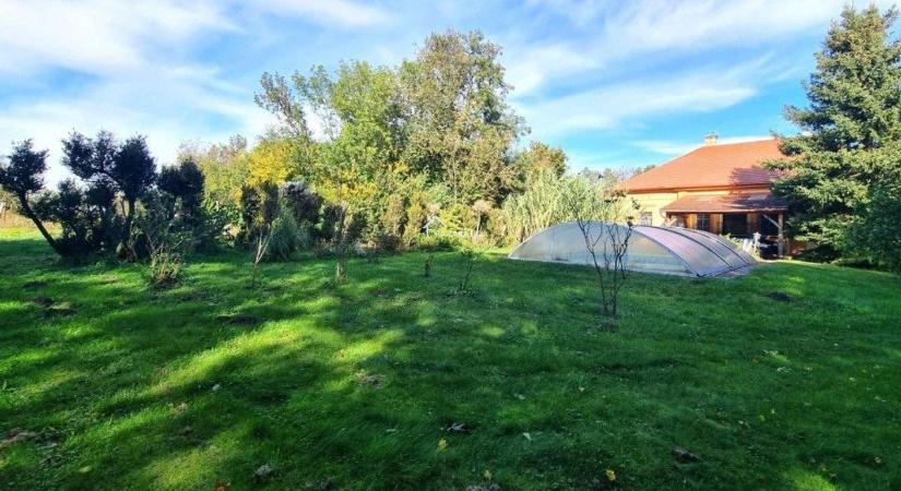 Mosonmagyaróvári tanya eladó, ilyet még biztosan nem látott! Medencével, pincével