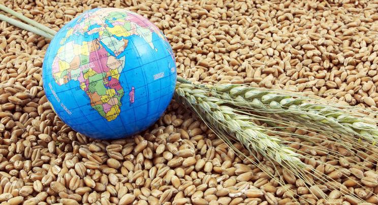 Az iráni háború miatt világszerte drágul az élelmiszer