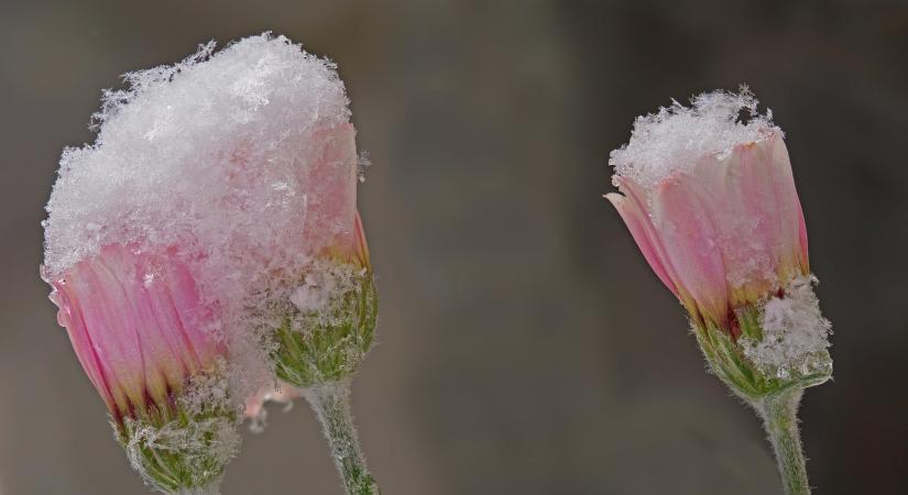Sokkoló időjárási fordulat: húsvét után betör a hideg, jönnek a fagyos hajnalok és a csípős szél
