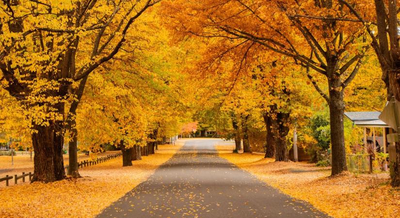 Csak házi munkára marad idő a hosszú hétvégén?