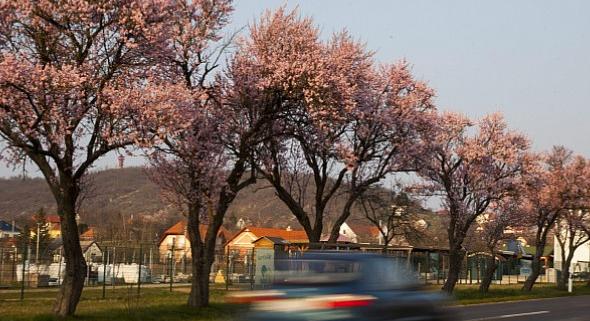 Hidegfronttal indul a hét - Előrejelzés húsvéthétfőtől április12-ig