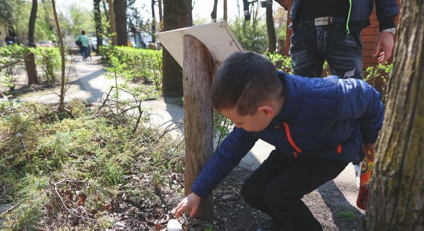 Tojásvadászat és katonai siker: pörgős nap Csongrád-Csanádban