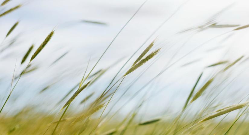 Ismét egy ciklon fenyegeti a tavaszi időt, ezt hozza a húsvéthétfő