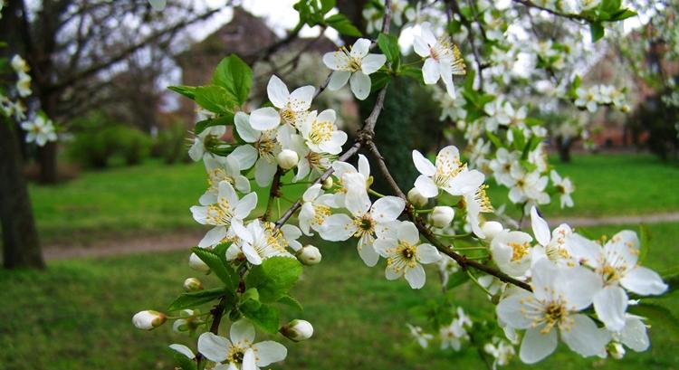 Elaltatta a jó idő az éberséged? Most figyelj, itt a 3 napos előrejelzés!