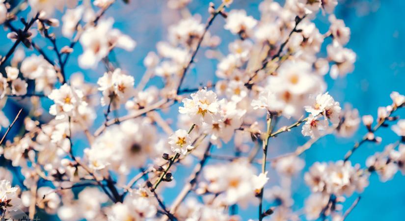 A hidegfronttal együtt érkezik a viharos szél is