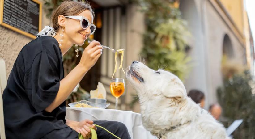 Olaszországba készül? Ezzel a 111 étkezési szabállyal mindenképp tisztában kell lennie