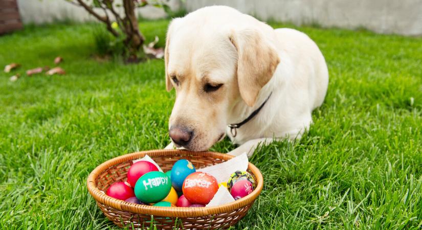 Orvosmeteorológia: ha frontérzékeny vagy, ingerlékeny lehetsz húsvéthétfőn