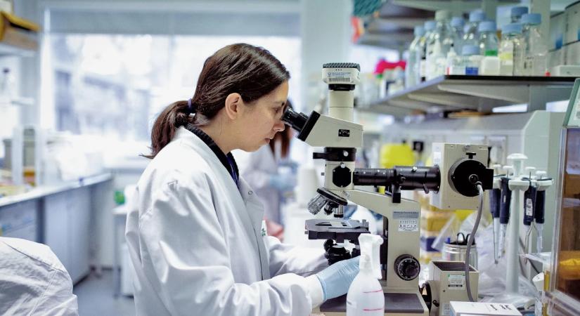 72 óra alatt megállítható a hajhullás? Egy új fejlesztés most felrobbantotta a piacot