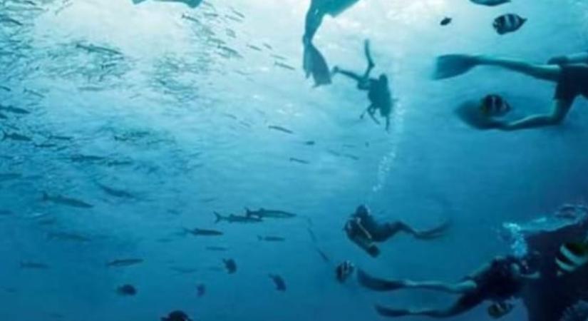 Személyiségteszt: mit lát meg először a képen? Kiderül, hogy jön ki másokkal