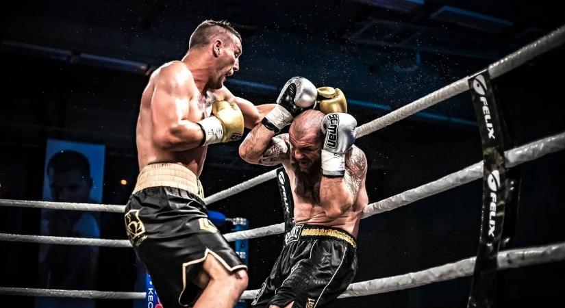 Szentendrén térnek vissza a pusztakezes boksz sztárjai!