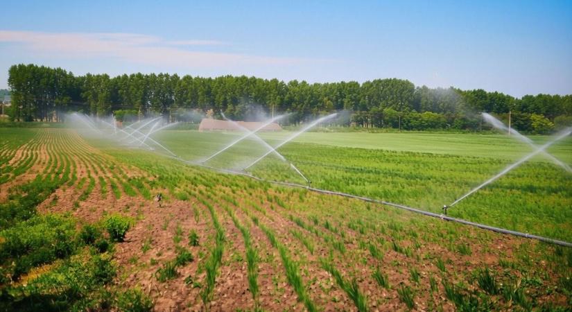 Régi módszerek, új remények: visszatérhet az öntözés?