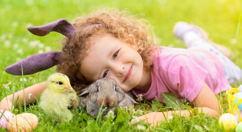 Erdei csere-bere – interaktív mesejáték várja a gyermeket húsvét hétfőn