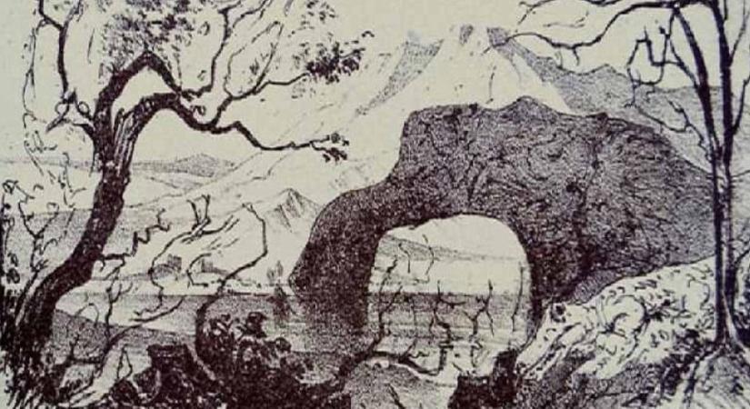 Optikai illúzió: hibátlan a látása, ha mind a 10 állatot megtalálja a képen