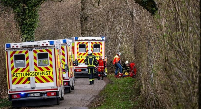 Húsvéti tojáskeresőkre dőlt egy fa Németországban: hároman meghaltak