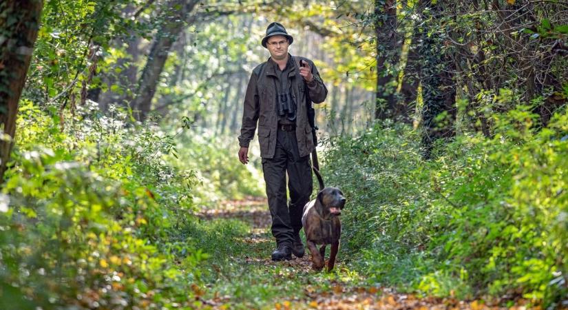 Új előírások a vadászoknak: így védekeznek a halálos kór ellen