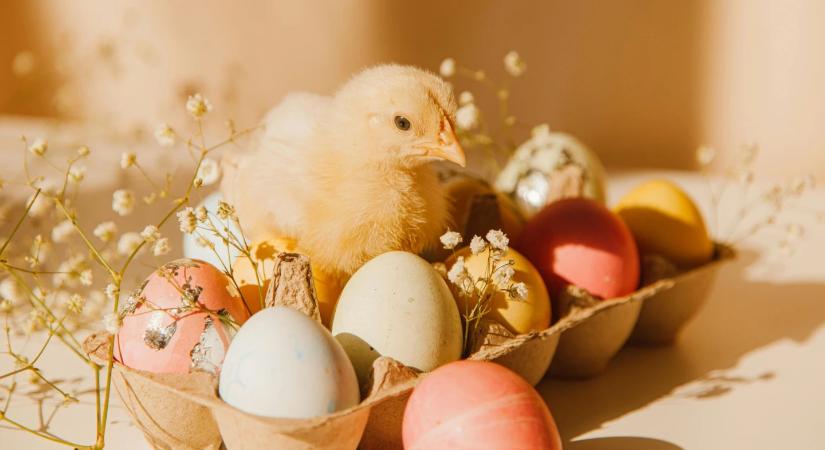 Meddig jó a főtt tojás? Sokan ezt a hibát követik el tároláskor