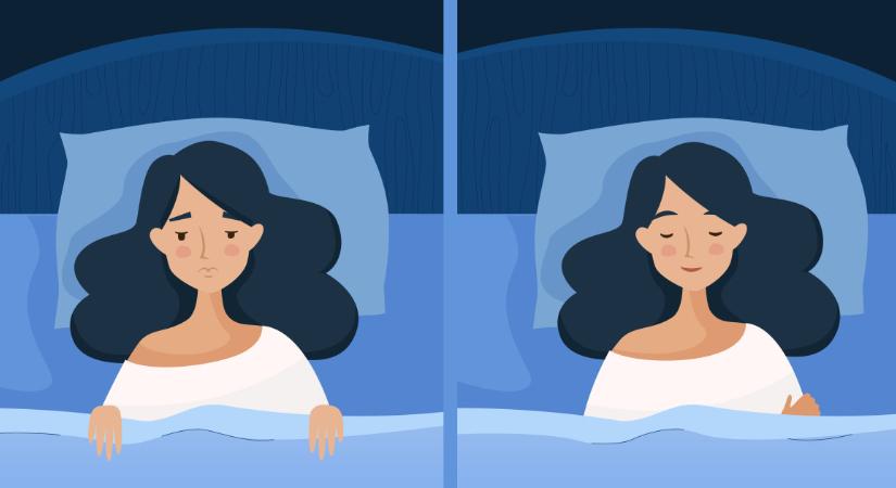 Oroszlán, farkas, delfin? A kronotípusod határozza meg, mennyire alszol jól